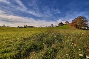 Jak wybrać architekta wnętrz: 7 pytań do rozmowy, które ujawniają styl, budżet i termin realizacji zanim podpiszesz umowę